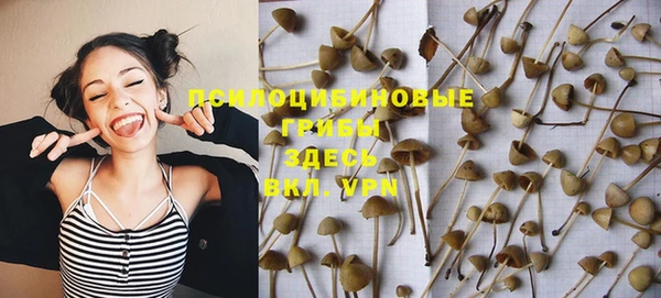 МДПВ Вязники