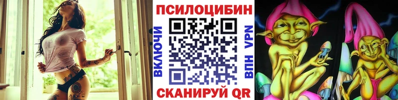 как найти закладки  Озёрск  Псилоцибиновые грибы Psilocybe 